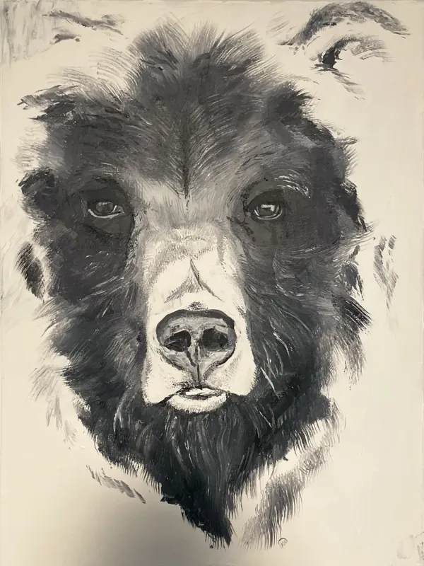 Close black and white portrait of a bear's face in thick brush strokes