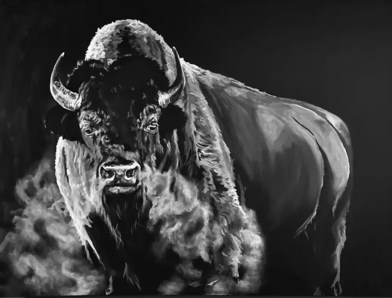 Black and white painting of a bull bison in a cloud of dust, painting by Kayla Hixon