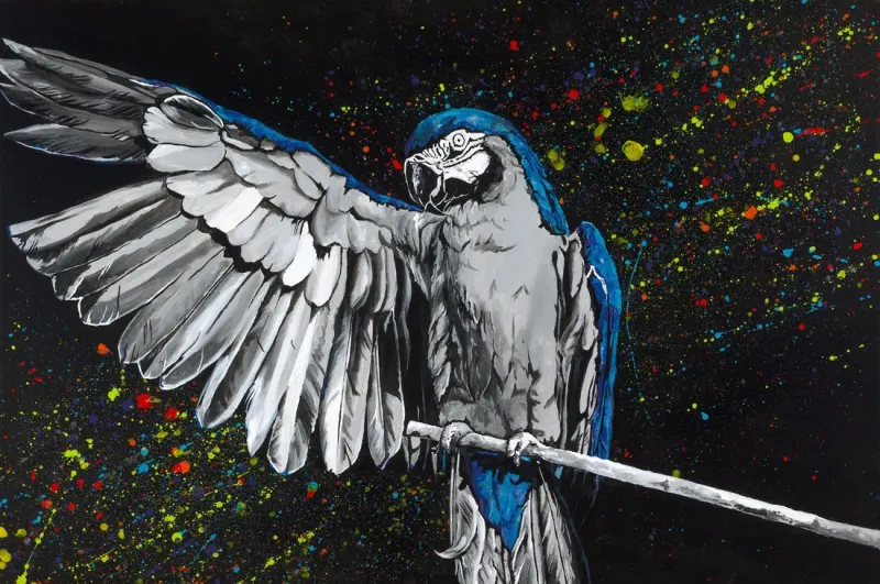 Macaw spreading one wing on a perch against a burst of colorful paint splatter, painting by Kayla Hixon